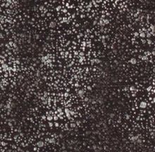 Load image into Gallery viewer, Zinc - Testino Charolite Scatter Cushion