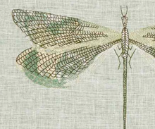 Load image into Gallery viewer, Kai - Mirage Jewelwing Scatter cushion