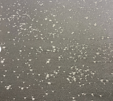 Load image into Gallery viewer, Today Interiors - Fizz Dusk Scatter Cushion