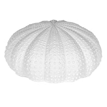 Load image into Gallery viewer, Urchin Vase