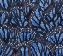 Load image into Gallery viewer, Zimmer and Rohde - Monarch
